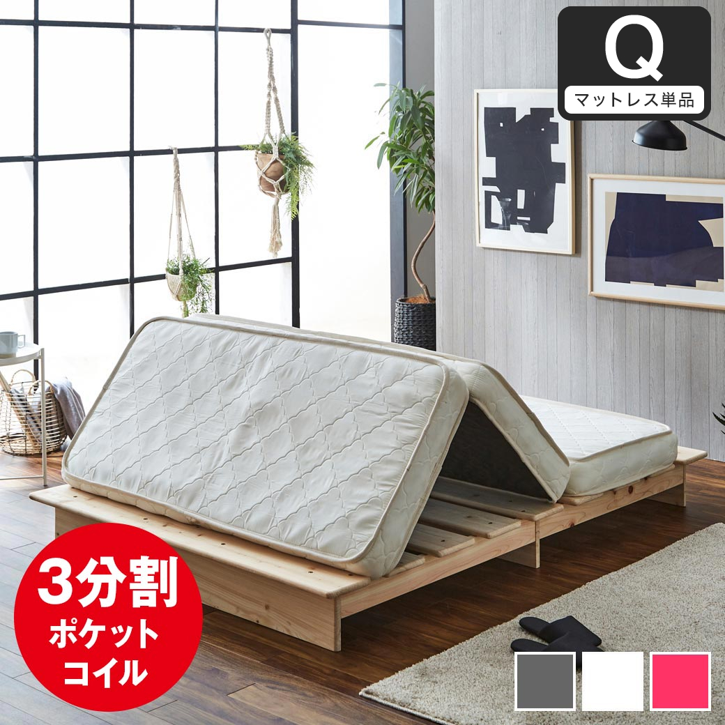 14013753.jpg?t=20241217160640