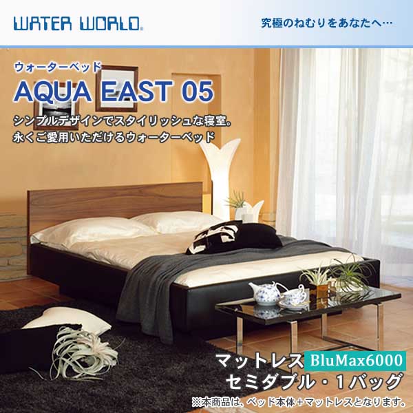 ウォーターベッド【送料無料 開梱 組立設置無料】AQUA EAST05 アクア