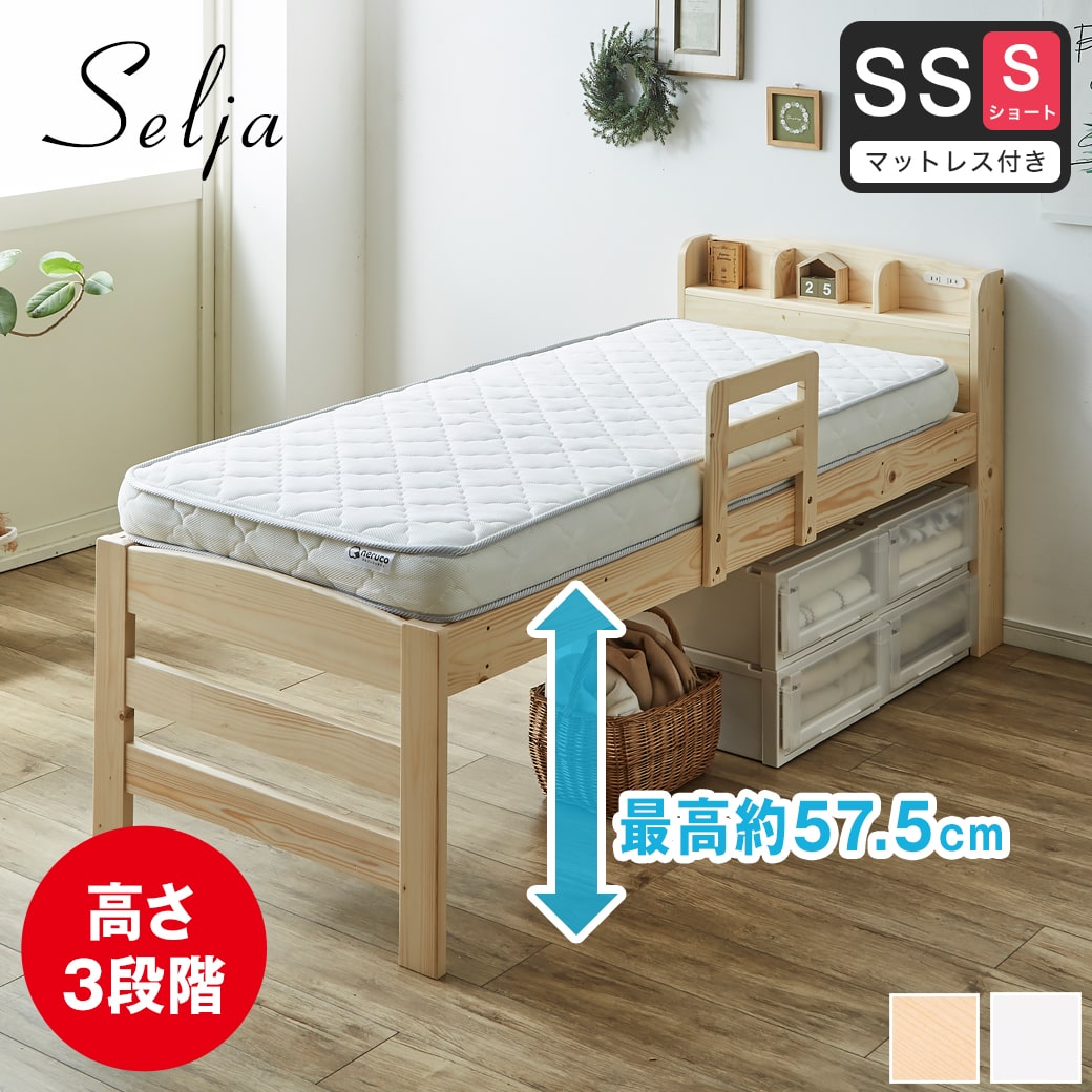 36113676.jpg?t=20240926154112