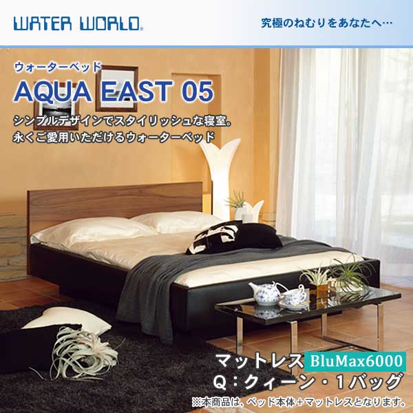 ウォーターベッド【送料無料 開梱 組立設置無料】AQUA EAST05 アクアイースト05(マットレス BluMax6000)クィーン(Q)【ウォーターワールド WATER WORLD】(ウォタベッド ウォーターベット(防腐剤1本無料プレゼント中) マットレス 【受注生産品】