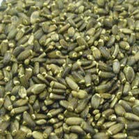 カリス成城 ミルクシスル シード ホール オーガニック 500g