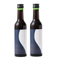 生活の木 KOMBUCHA ～コンブチャエッセンス～ 300ml×2本セット