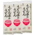 うどん県のうどん 300g×3袋