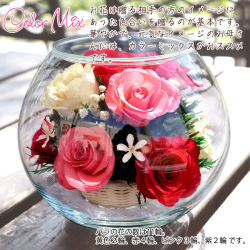 【古希祝い】＜HAPPYマザーフラワー 【カラーミックス】＞ 名入れなし