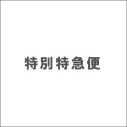 即日発送料金【送料含まず】