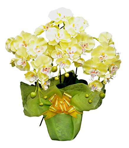 [在庫なし]光触媒(造花)の胡蝶蘭3本立ち黄色