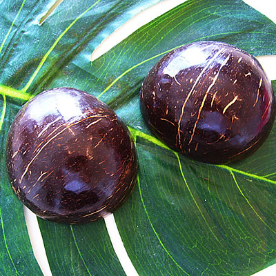 フラ楽器 ココナッツプニウ