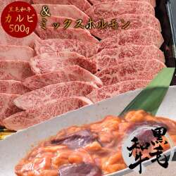 黒毛和牛カルビ500g + ミックスホルモン300g