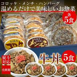 らくらく時短お惣菜・牛丼付きセット5人用