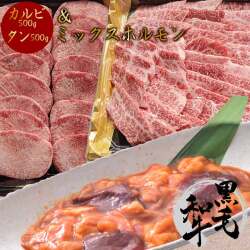 黒毛和牛カルビ500g+牛タン500g+ミックスホルモン300g