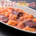 eギフト 簡易包装　厳選ミックスホルモン300g×2パック