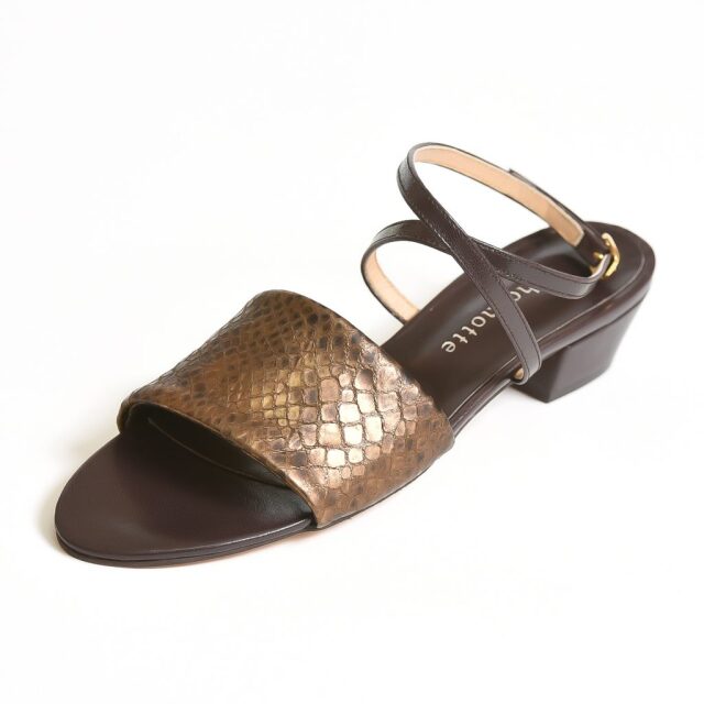 Lisaブロンズ x ブラウン