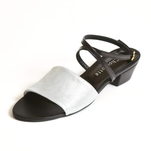 Lisaシルバー x 黒