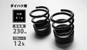 レーシングスペックハイレートリアスプリング 12K 2本1セット