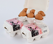 美・コラーゲン6個入り3パック
