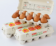 太陽卵10個入り3パック