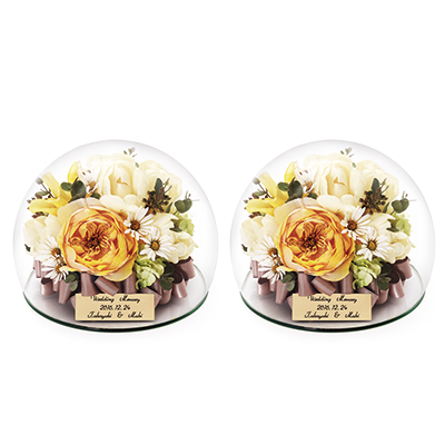 Pure×2 ［ピュア2個セット］