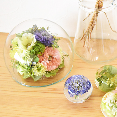 Pure＋ ［ピュアプラス]