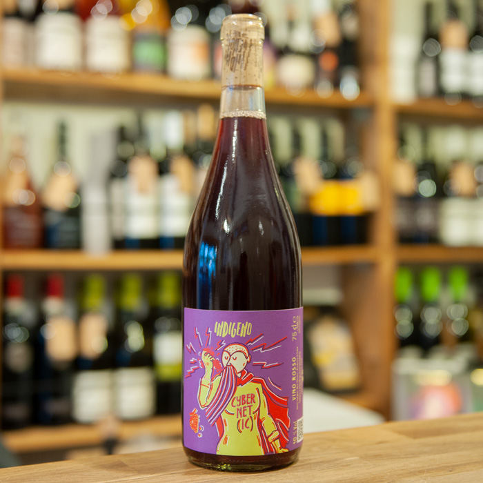 レア　イタリアワイン4本 #ナチュラルワイン #ヴァンナチュール #自然派ワイン なぜ「IRORI」は自然派ワインを選んだのだろう？ | 「IRORI」が