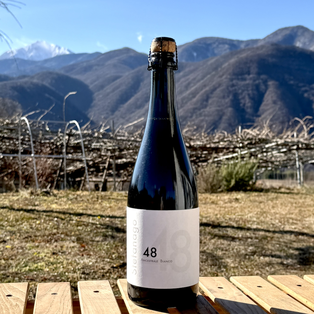 ステファナーゴ アンチェストラーレ ビアンコ 48