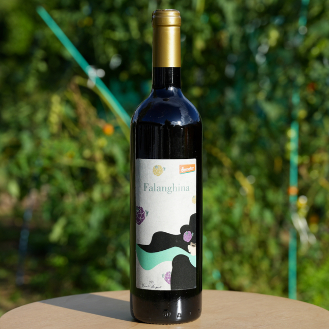 ファランギーナ