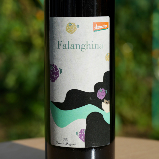 ファランギーナ