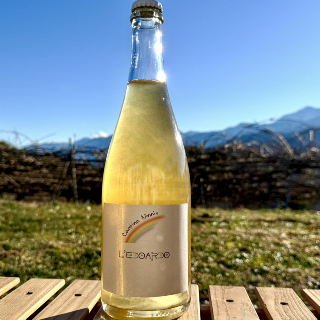 レドアルド ウンブリア ビアンコ フリッツァンテ 2022