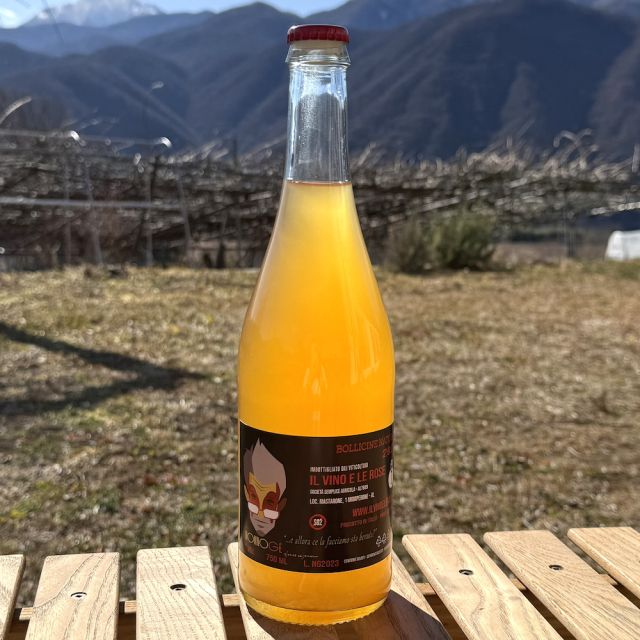 ヴィーノ ビアンコ フリッツァンテ ノンノジェ