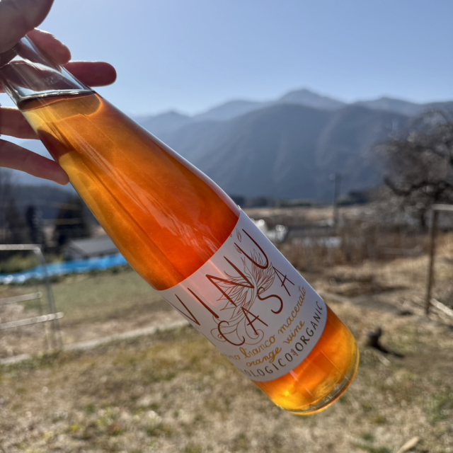 ヴィヌ・イ・カーサ・マチェラート