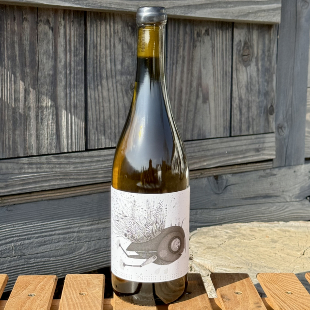 ＜自然派・白(オレンジ)ワイン・ノンフィポデーレ サン ビアージョ  トレッビアーノ コッリ アプルティーニ