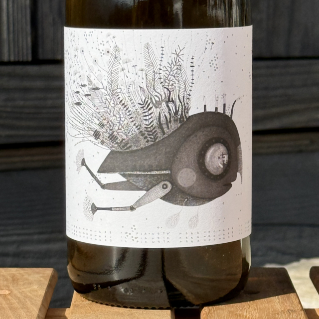 ＜自然派・白(オレンジ)ワイン・ノンフィポデーレ サン ビアージョ  トレッビアーノ コッリ アプルティーニ