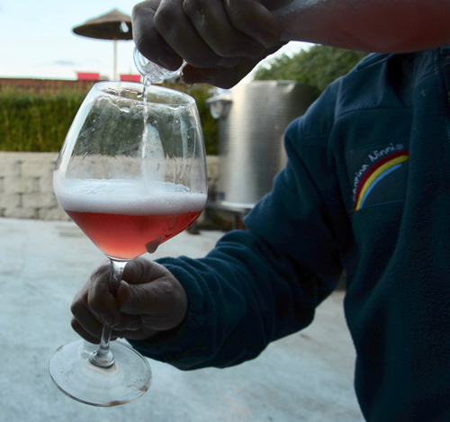 カンティーナニンニのフリッツァンテ、ピルルッシュ