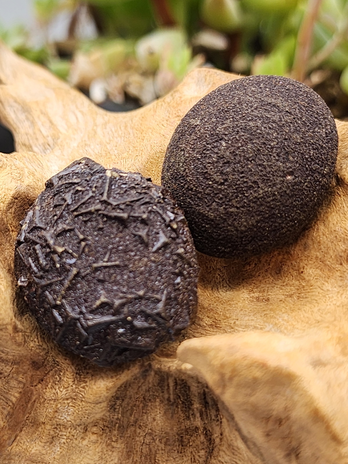 ボージャイストーン・S（ペア） BJS350