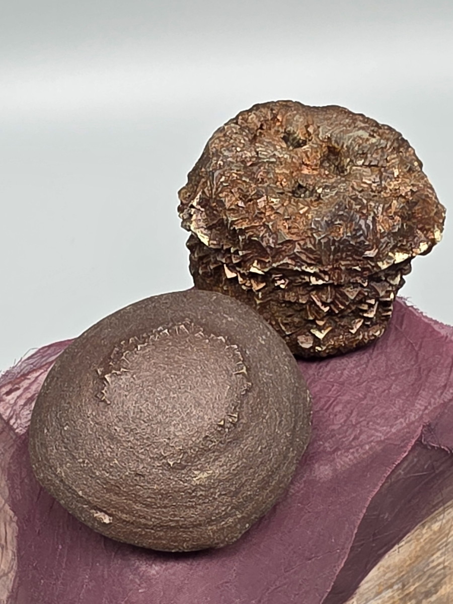 ボージャイストーン・XL（ペア） BJS387