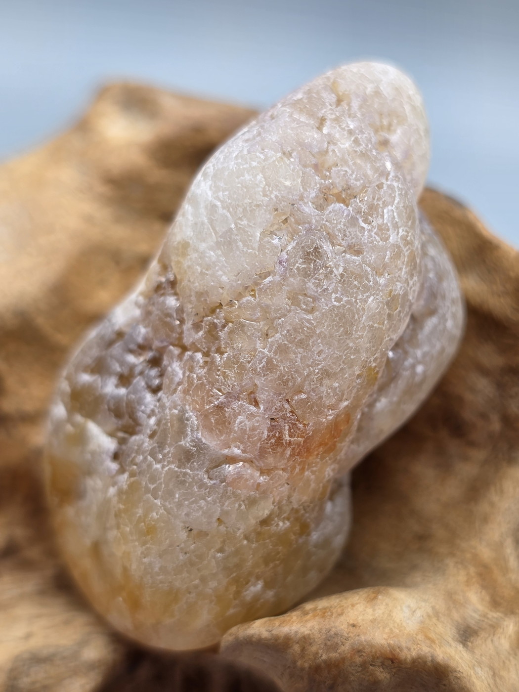 ブッケンハウトジャスパー ・磨き（グランドフォーメーション） BNJ274