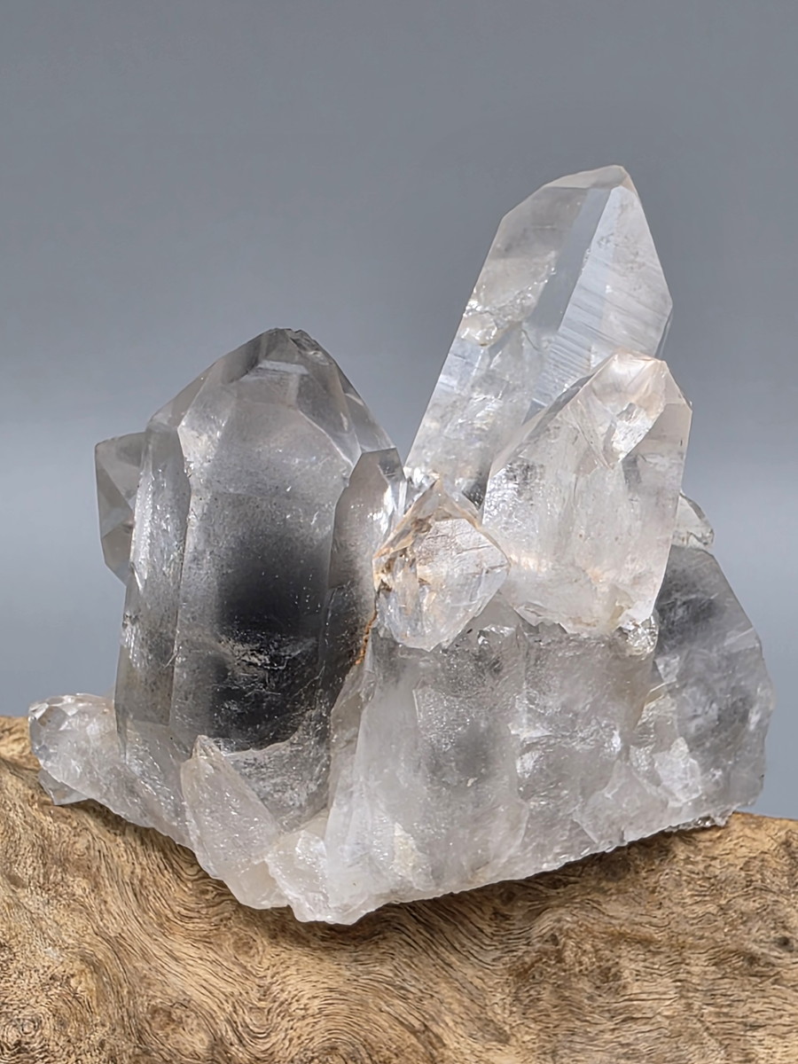 アーカンソー産ブラックファントム・クラスター BPH002