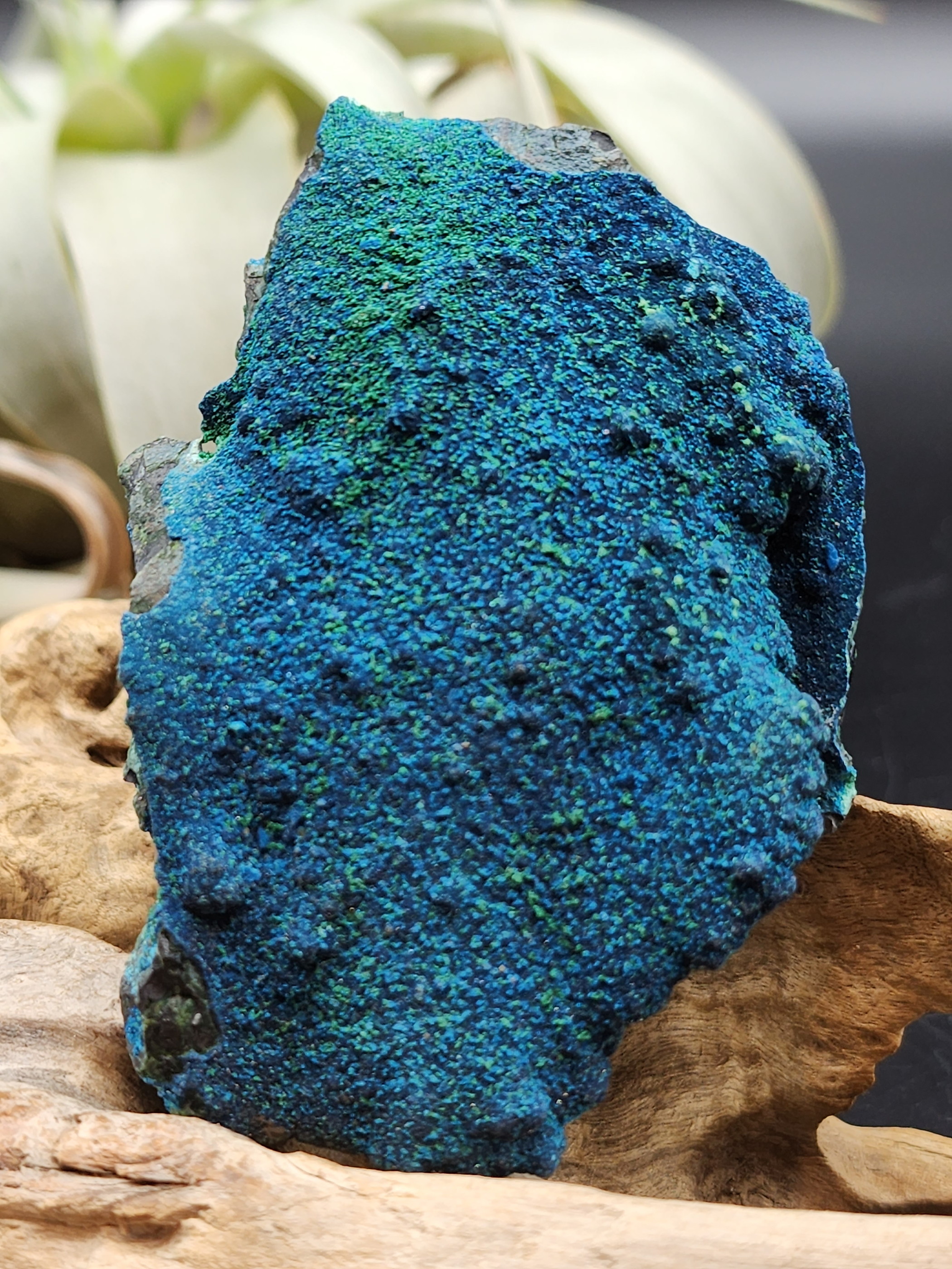 コンゴ産コルネタイト原石 CNT002