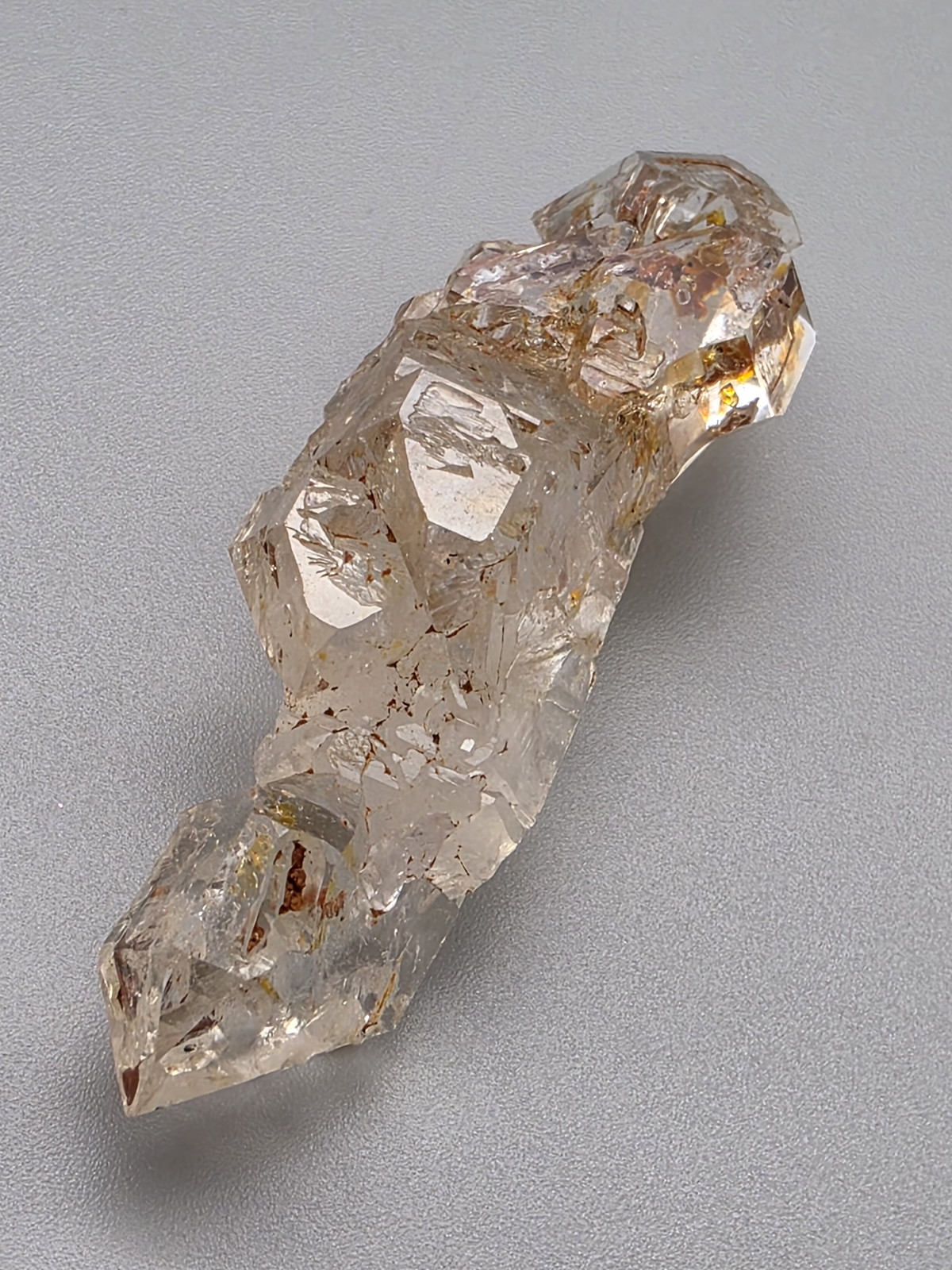 マダガスカル産フェアリーセプター FSP005