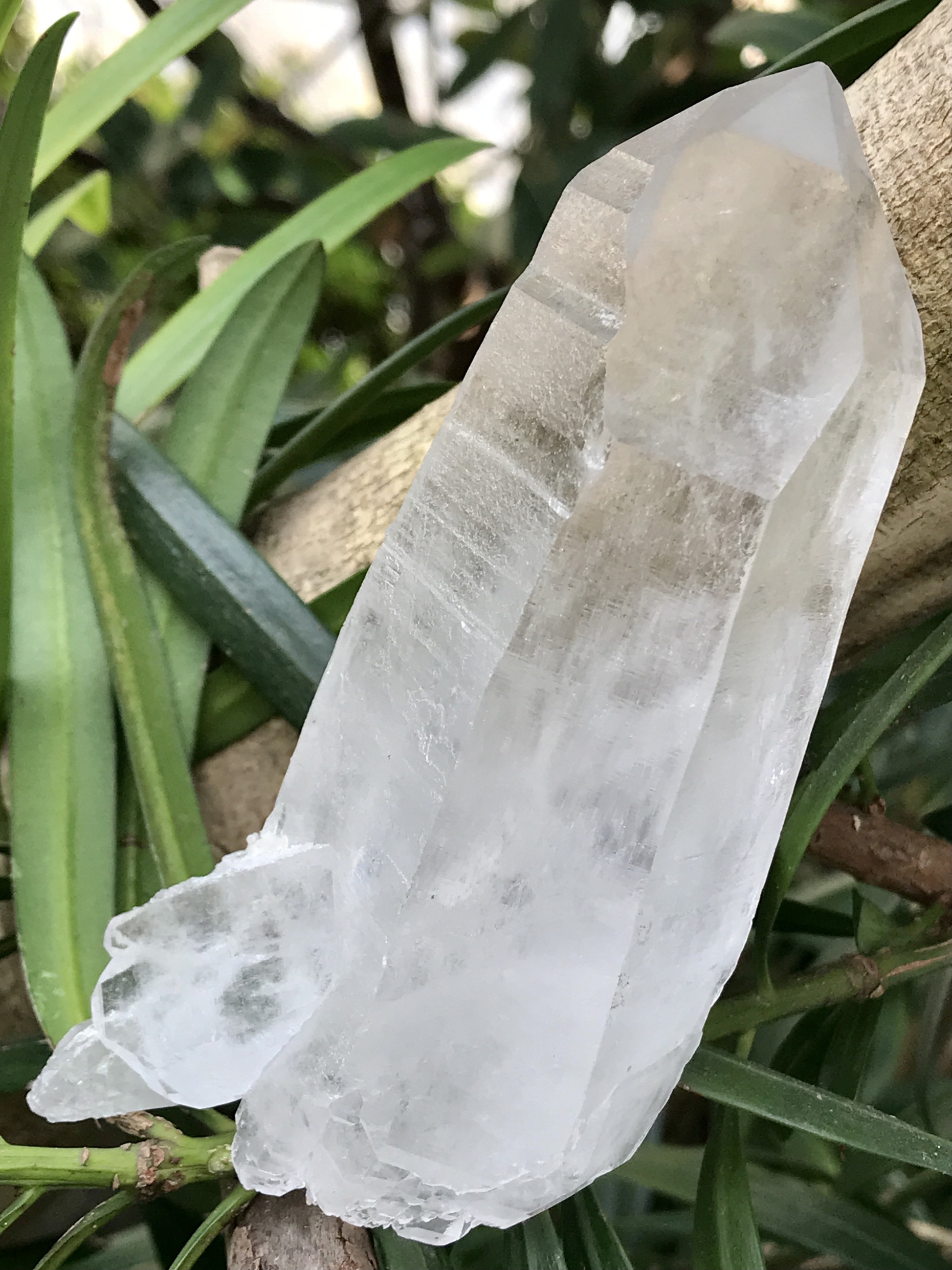 バイア産レムリアンシード ステップド アカシックライン エクストラ テレストリアル マスタークリスタル Lem126 Casa Lotus Crystal Lodge