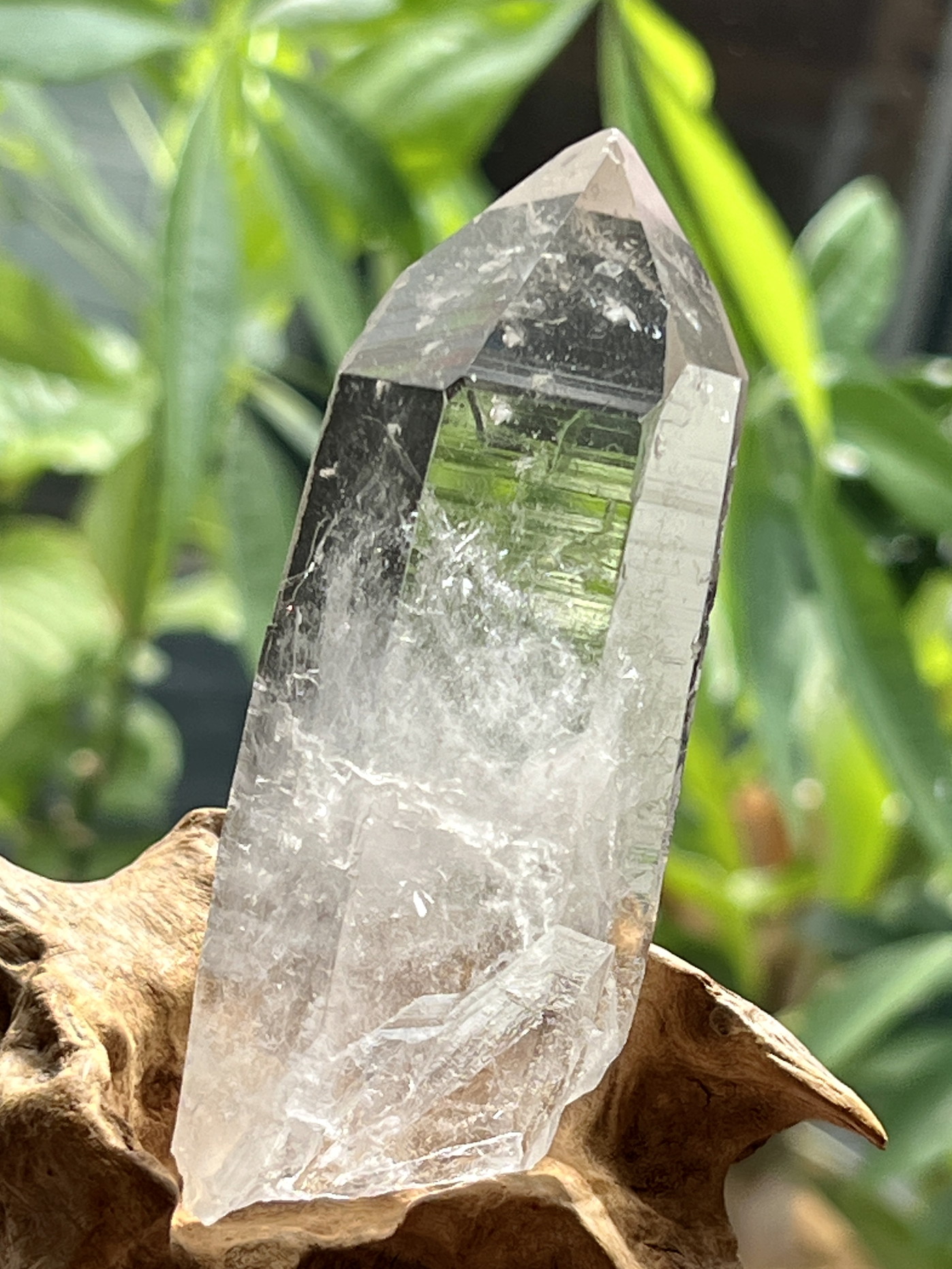 カブラル産レムリアンシード原石 LEM260