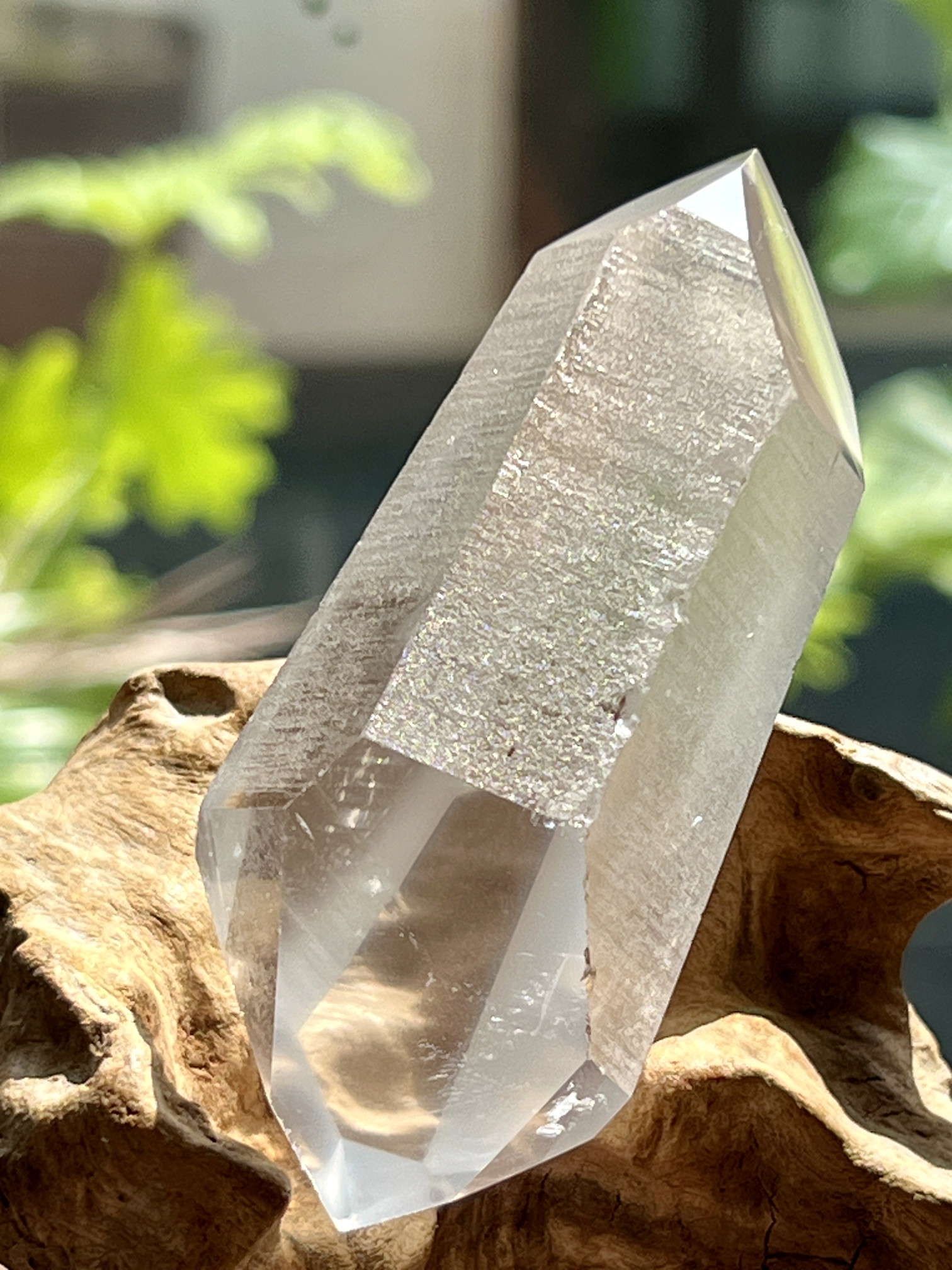 ブラジル産レムリアンシード（一部ポリッシュ） LEM282