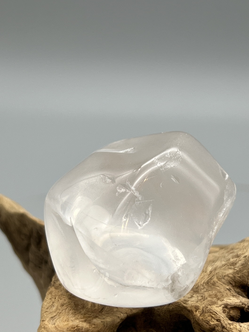 メタモルフォーシス・タンブル（グランドフォーメーション） MFT156