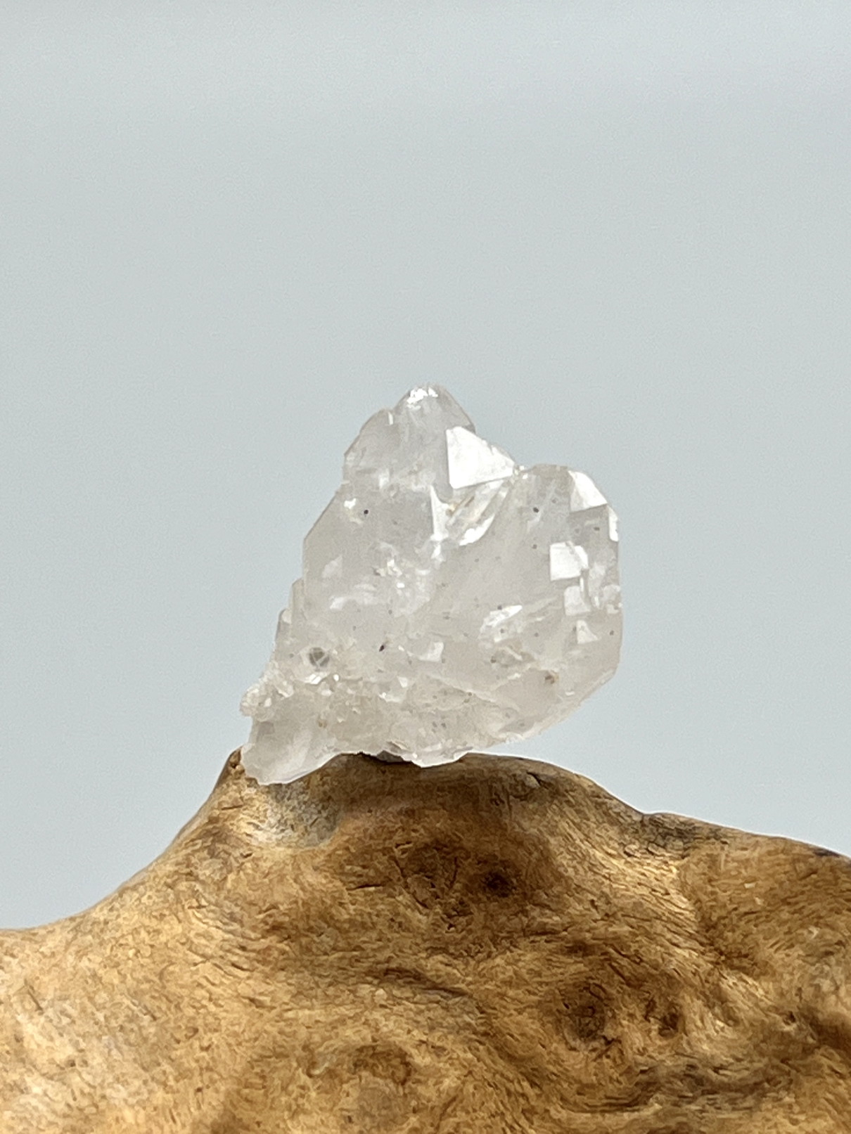 【Melody's collection】 メロディ・グリーン・マイン・原石（セルフヒールド） MGM524