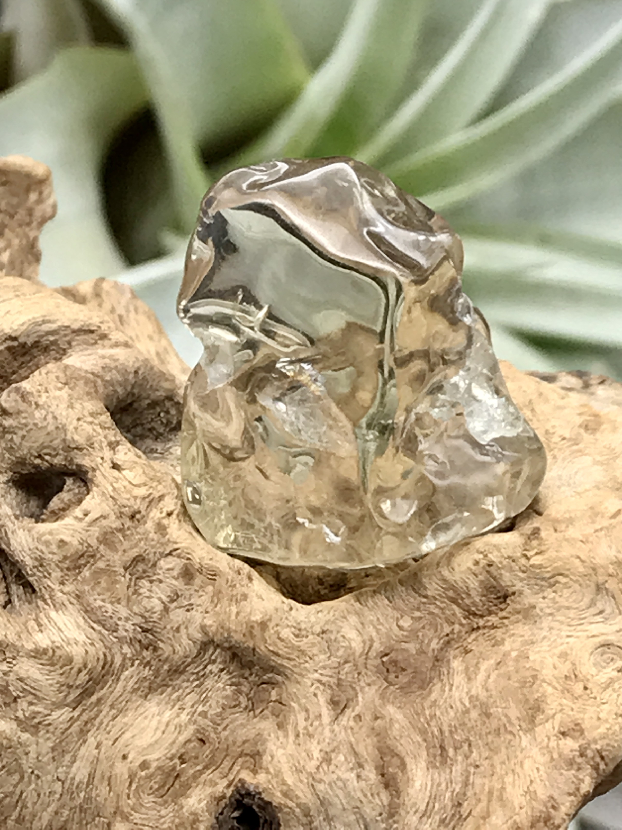 オーロヴェルデ・磨き（メタモルフォーシス）（グランドフォーメーション） ORV038