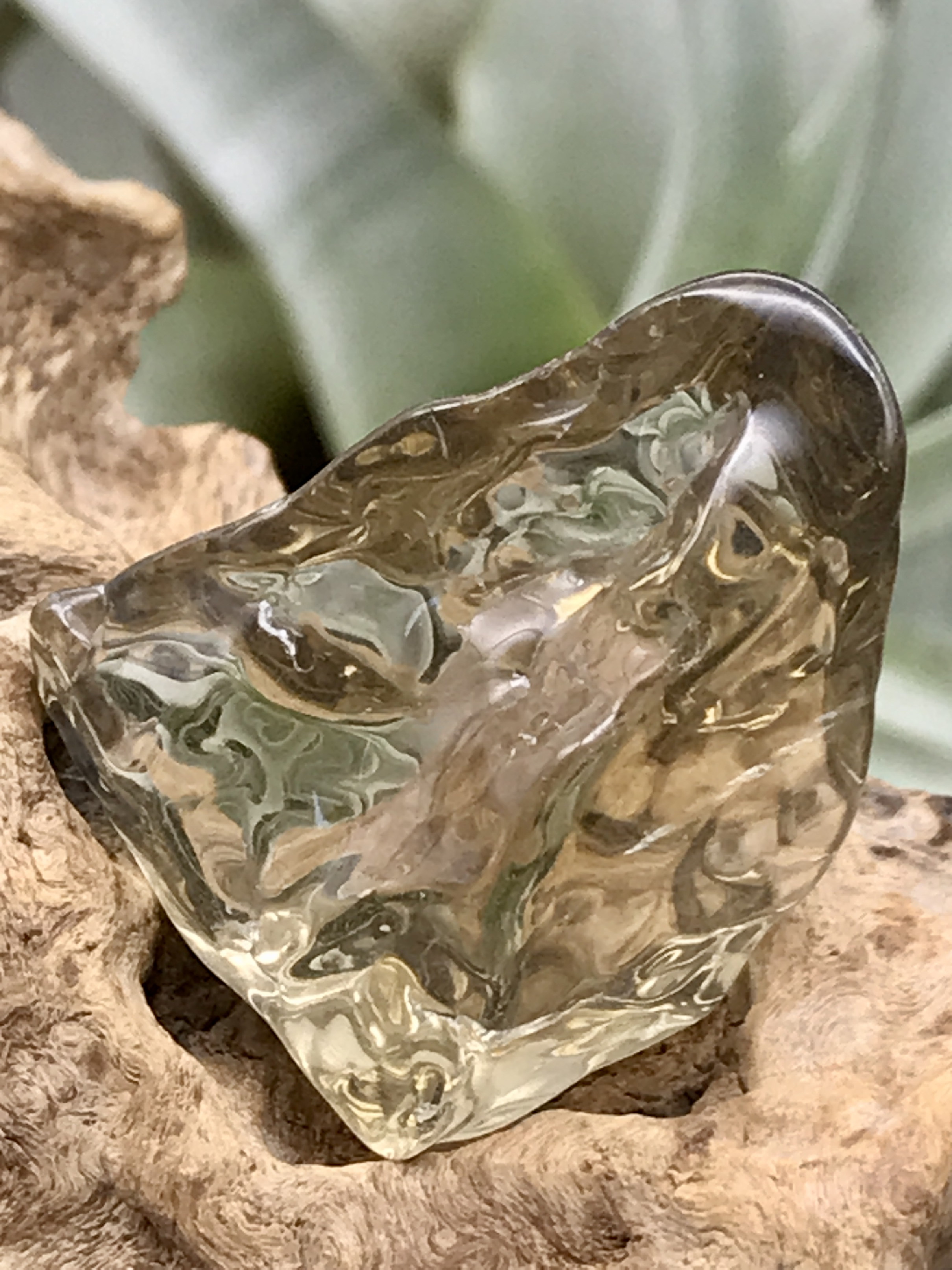 オーロヴェルデ・磨き（メタモルフォーシス）（グランドフォーメーション） ORV055