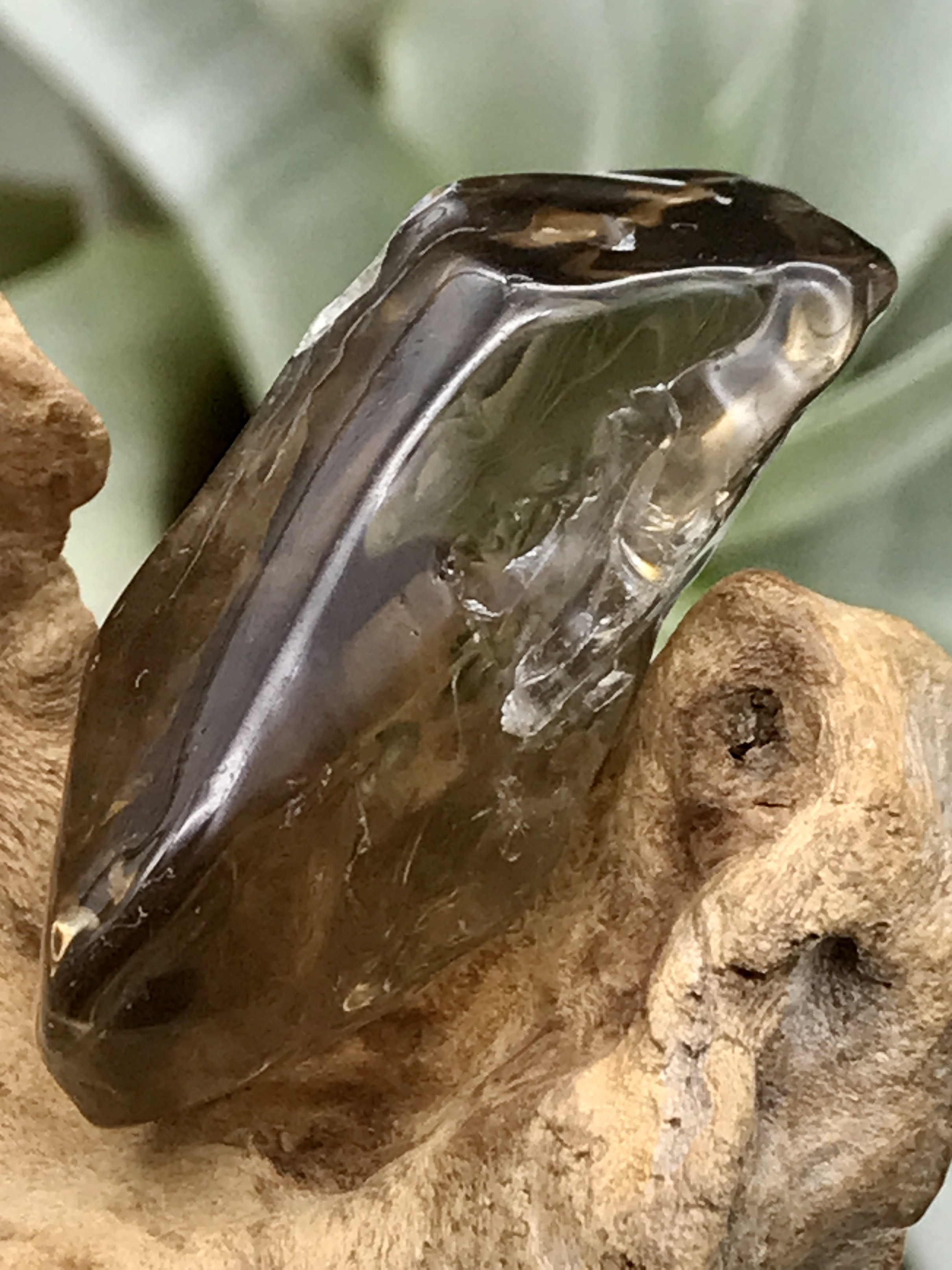 オーロヴェルデ・磨き（メタモルフォーシス）（グランドフォーメーション） ORV057