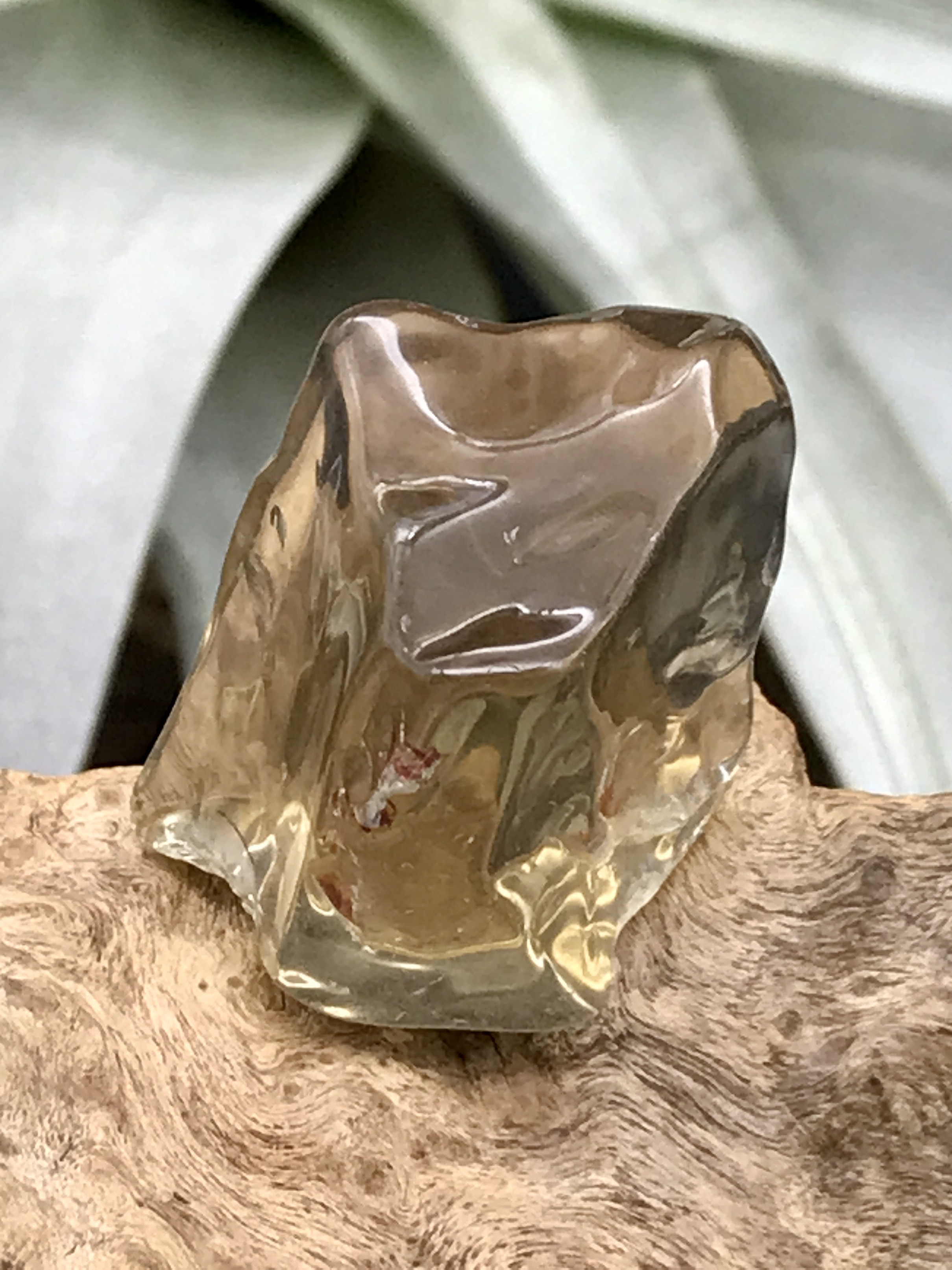 オーロヴェルデ・磨き（メタモルフォーシス）（グランドフォーメーション） ORV060