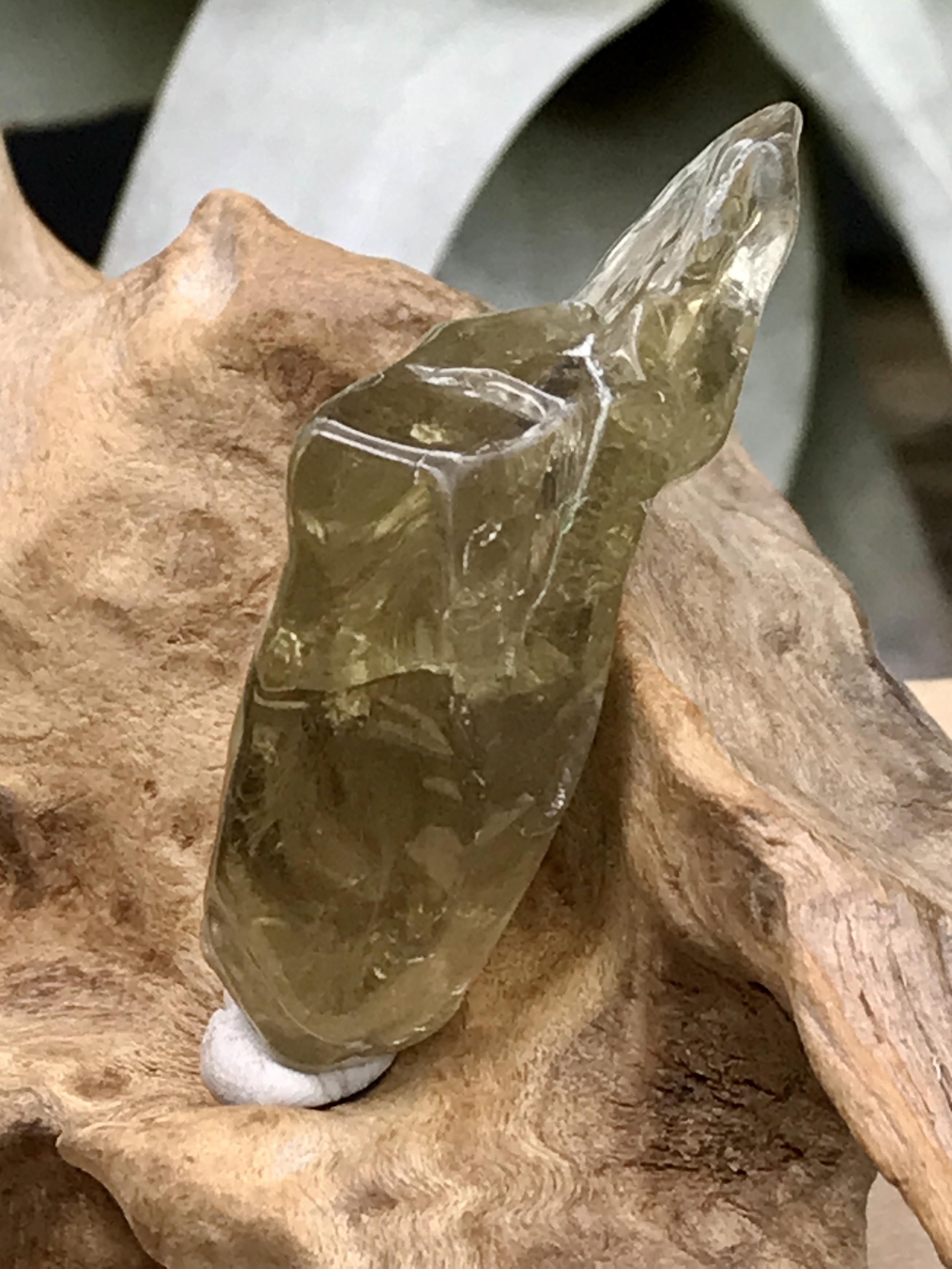 オーロヴェルデ・磨き（メタモルフォーシス）（グランドフォーメーション） ORV063