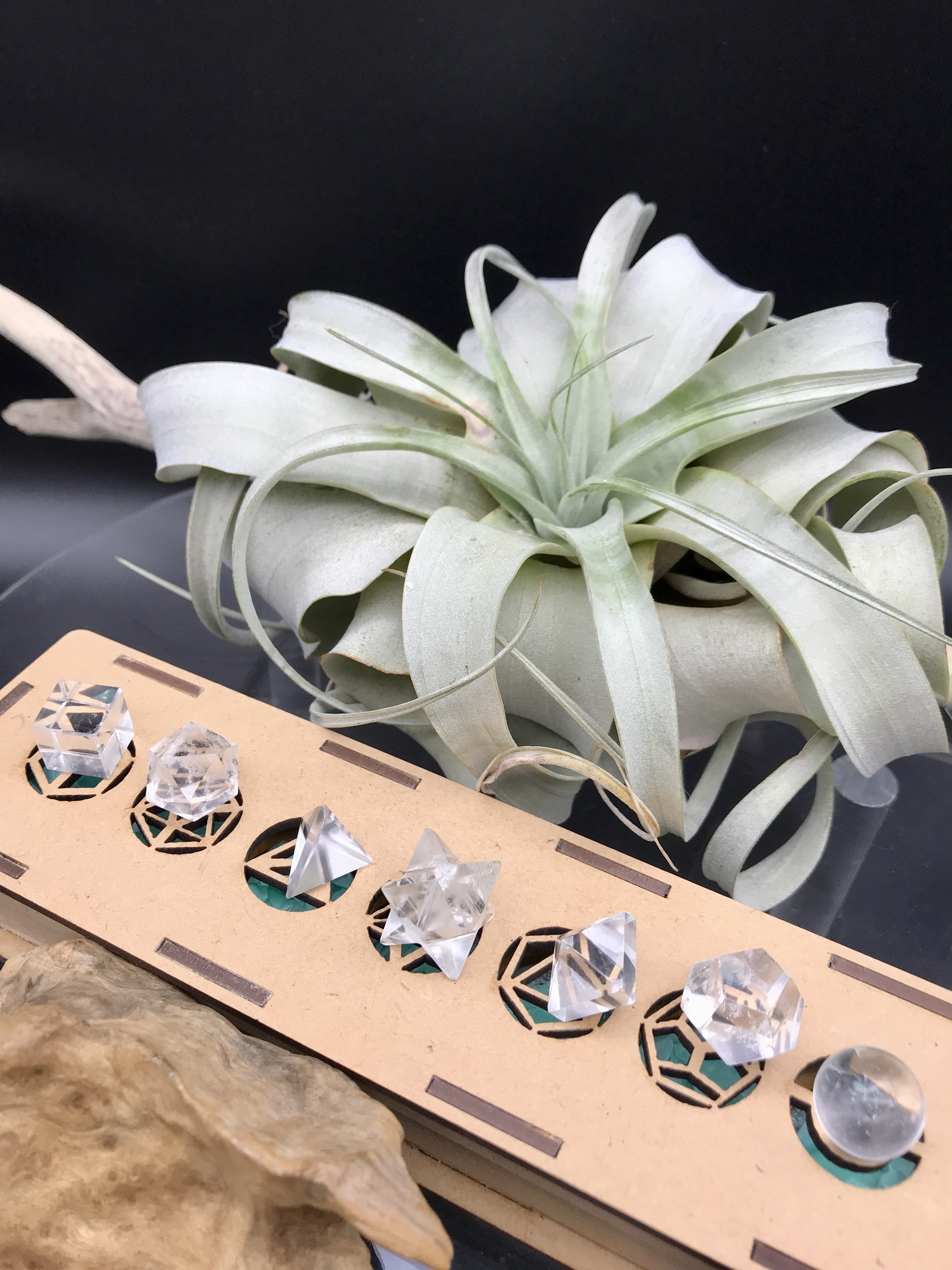 プラトン立体（神聖幾何学）・ヒマラヤ水晶7点セット（BOX入り） PLH018