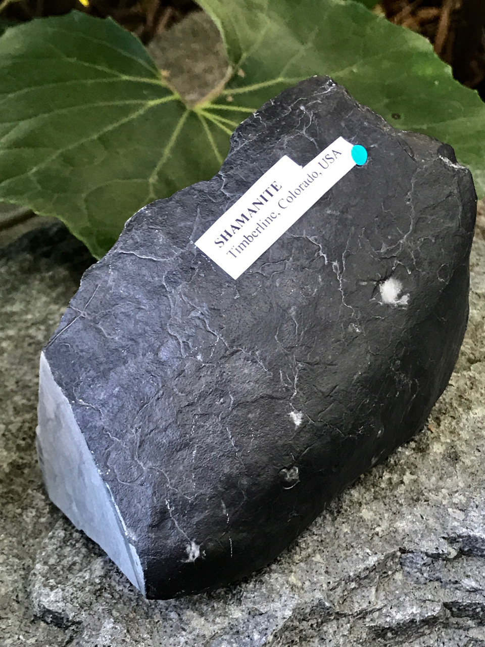 シャーマナイト原石（Melody’s HEIRLOOM INVENTORY） SHM001